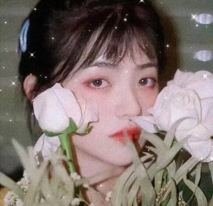 从前有个傻子特工